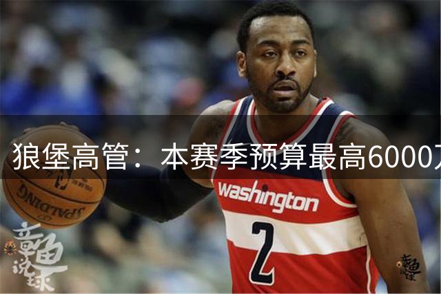 狼堡高管：本赛季预算最高6000万欧，力争完成在德乙的目标